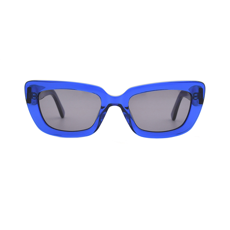 Fashionable sunglasses  glasses