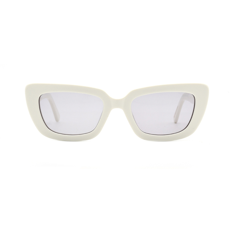 Fashionable sunglasses  glasses