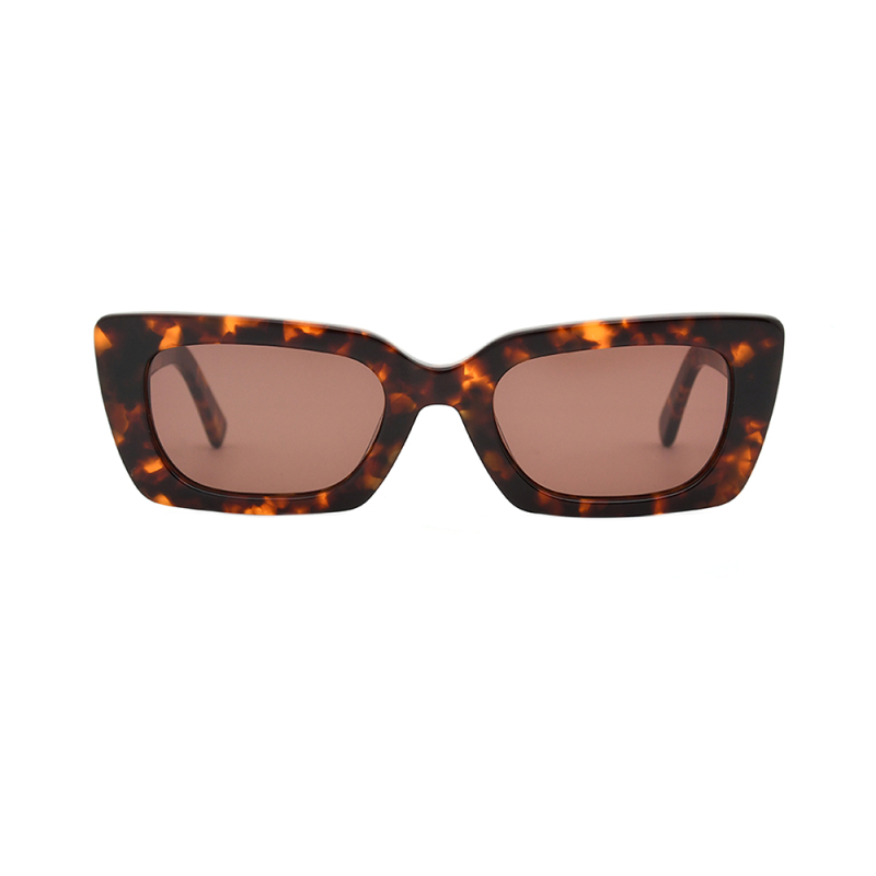 Fashionable sunglasses  glasses