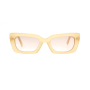 Fashionable sunglasses  glasses