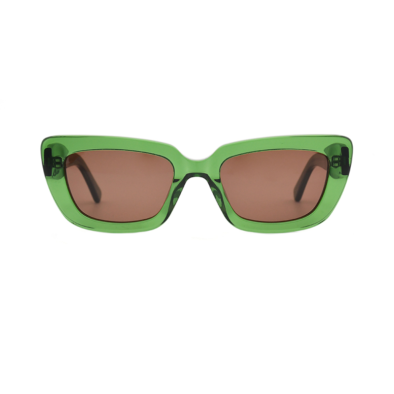 Fashionable sunglasses  glasses