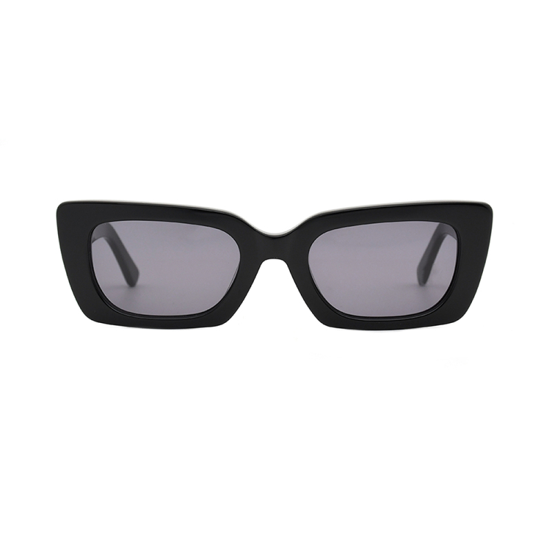 Fashionable sunglasses  glasses