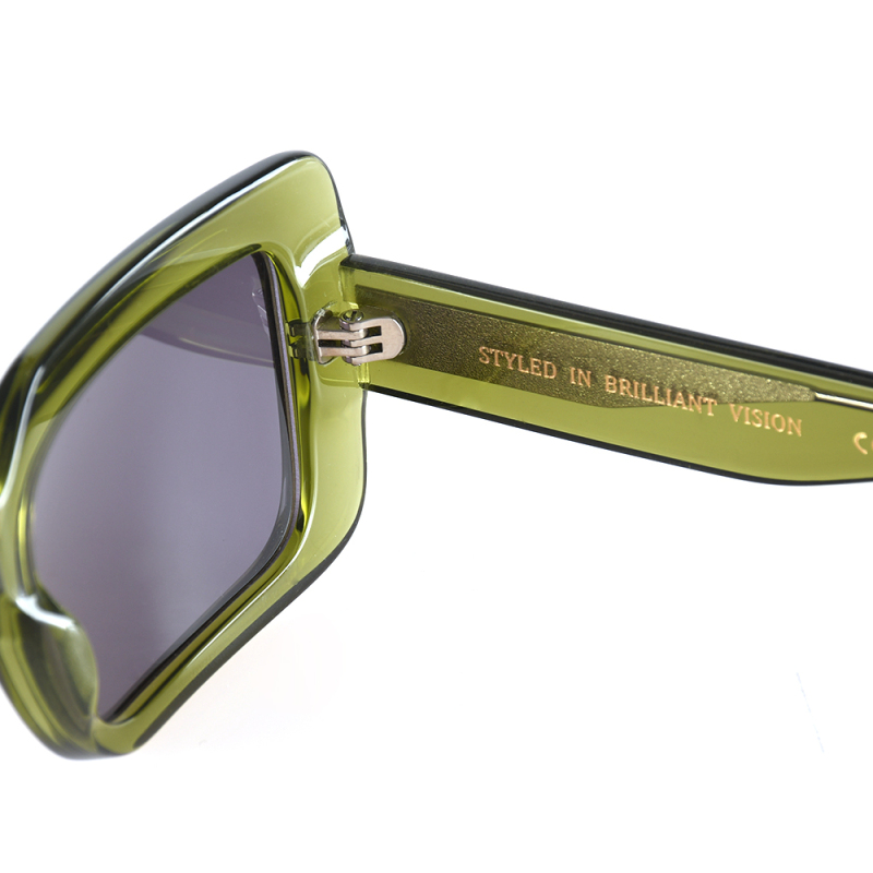 Fashionable sunglasses  glasses