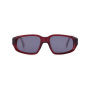 BS24SS1001AC