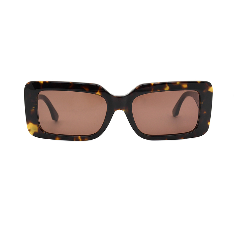 Fashionable sunglasses  glasses