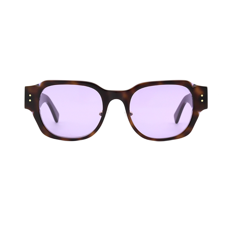 Fashionable sunglasses  glasses