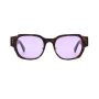 Fashionable sunglasses  glasses