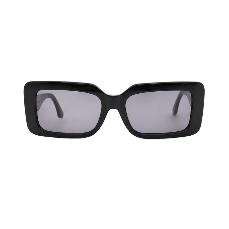 Fashionable sunglasses  glasses