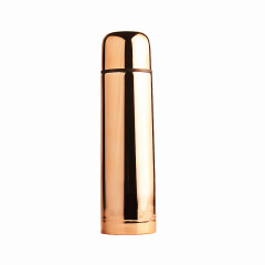 Modern Design Stainless Steel Water Bottle 500ml in Copper Color