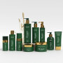 Bright Green Color Gold Pump Personal Care Plastic Bottle Packaging 100ml-500ml