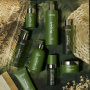 Bright Green Color Gold Pump Personal Care Plastic Bottle Packaging 100ml-500ml