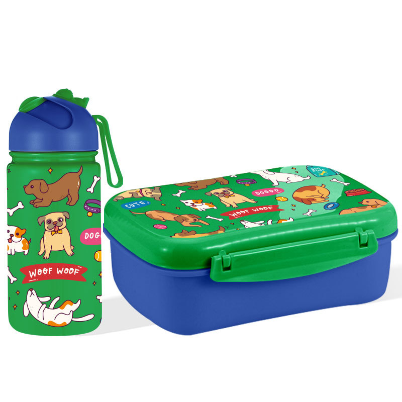 Bento Lunch Box with Insulated Water Bottle Ice Pack Set for Kids Toddlers BPA Free Removable Snack Box
