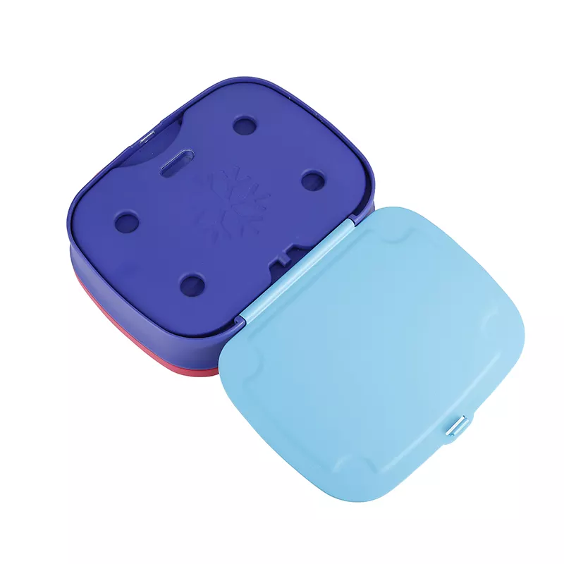 Portable Bento Box Food Container with Sauce Box School Kids Plastic Bento Lunch Box and Water Bottle Gift Set for Children
