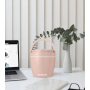 wholesale kitchen storage jars pp custom logo color lunch box container for  kids storage bottles & jars with spoon fork
