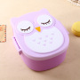 Dinner Spoon Fork Sets Food Grade PP  Western Design Unique Animal Owl Dinnerware Cake Storage Cute Bento Lunch Boxes for Kids