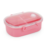 Plastic Sushi Bento Box Leakproof Food Storage Container Microwavable Lunch Bento Box For Kids