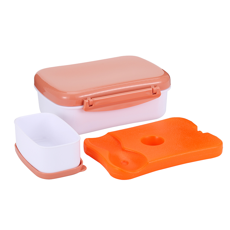 EVERICH ODM OEM Custom Logo Colorful Design Stainless Steel Vaccum Water Bottle and School Plastic Bento Lunch Box for Kids
