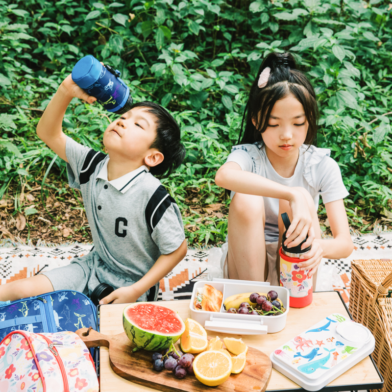 BPA Free Blue Lunch Box Set Food Tiffin Containers with Thermos & Water Bottle and  Lunch Bag for School