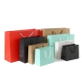 Multiple Measures & Colors Kraft Paper Bags
