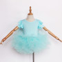 Wholesale Girls Casual Short Sleeves Ballet Tulle Tutu Dancing Skirts