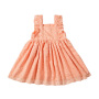 Wholesale High Quality Trendy Toddler Baby Lace Dresses For Girls