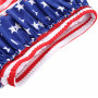 2019 Hot Sale Boutique 2 Pieces Sets  Baby 4th of July Swimming Suit 2 Pieces Sets For Girls