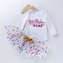 Wholesale Boutique Baby Long Sleeve Princess Birthday Dresses With Hair Accessory