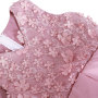 Children Birthday Party Boutique Baby Girl Lace Flower Dresses