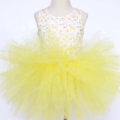 Factory Direct Sale Girl Floral Layered Princess Dresses Sleeveless 0-10 Years Baby Tutu Dress