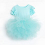 Ruffle Sleeve Cute Princess Pink Birthday Party Tutu Dance Dress For Girl
