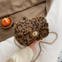 Autumn And Winter New Women Hand Bags Fluffy Bag Chic Style Chain Crossbody Bag Women Purse And HandBags