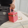 Fashion candy color PVC acrylic box bag women purses and handbags for women purses 2021