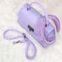 2021 New Combination Fashion Matte Pvc Jelly Bag Rivet With A Headband Set Portable Single-Shoulder Diagonal Women Handbag