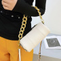 2021 New Trendy Korean All-Match Crossbody Bag Thick Chain One-Shoulder Bag Armpit Fashion Woemn Hand Bags