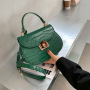 New trendy designer handbags famous brands crossbody handbags for women luxury purses 2021 handbags