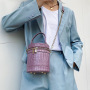 Crocodile Pattern Leather Handbags Bucket Bag Chain Shoulder Bag Mini Handbags for Women Purses