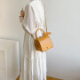 Fashion Mini Bags Women Handbags Luxury Purses For Women 2021 Handbag Ladies Handbags For Women Bags