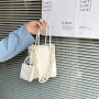 Vintage Acrylic Chain Underarm Buns Small Square Crossbody Bag