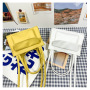 Korea 2021 New Square Luxury Handbags For Women Elegant Ladies Large-Capacity Designer Crossbody Bag Women Handbags And Purses