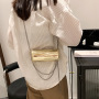Influence Same Style Small Back Chain Bag New Fashion Shiny Bucket Bag New Design Ladies Messenger Bag