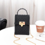 Designers handbags famous brands small purse pvc bag women hand bags handbags mini purses and handbags