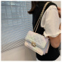 New Female Small Chain Women Hand Bags  Ladies Purses Ins Influence Gradient Travel Mobile Phone Bag Handbags And Purses