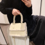 New Winter Pu Leather Matte Plush Handbag Ins Fashion Suede Bags Women Handbags Ladies Purse Fur Bags Women Handbags Ladies