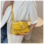 Elegant Ladies Chain Lattice Handbag 2021 Ins New Trendy Influence Fashion One-Shoulder Crossbody Bag Purses And Handbags