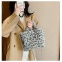 New Winter Girl Plush Leopard Print Handbag 2021 Winter Female Handbag Plush Chain Crossbody Bag Ladies Purses And Hangbags