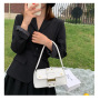2021 Trendy New Crocodile Pattern Crossbody Shoulder Bag Fashion Retro Handbag Elehant Women Hand Bags