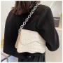 Influence Texture Bag Female Summer Simple Messenger Bag 2021 New Fashion Elegant Ladies Hand Bag Handbags For Women Luxury