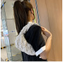 Ins  Female Summer Simple Messenger Bag 2021 New Fashion Elegant Ladies Hand Bag Handbags For Women Luxury