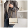 2021 New Style Women Hand Bags Fashion Purses and Handbags for Women Luxury Purse