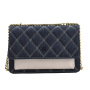 Hot Sale Denim Canvas Bag Handbags 2021  New Trendy Summer Chain Bag Designer Crossbody Women Handbags And Purses